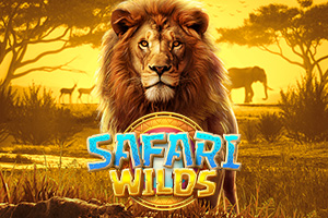 Safari Wilds
