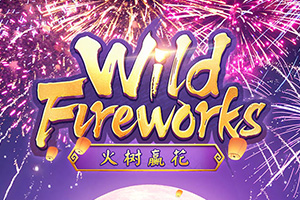 Wild Fireworks
