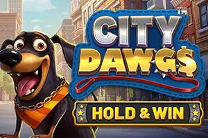 City Dawgs Hold and Win