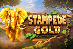 Stampede Gold by Betsoft