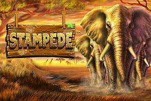 Stampede by Betsoft
