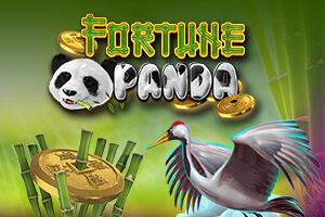 Fortune Panda