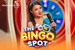 The Bingo Spot