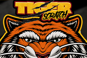 Tiger Scratch