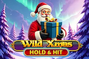 Wild Xmas Hold and Hit