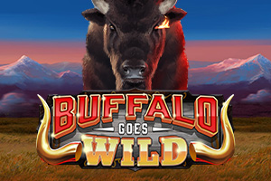 Buffalo Goes Wild
