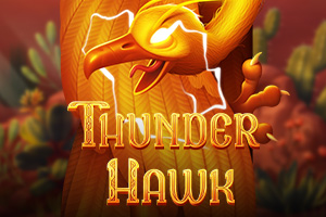 Thunderhawk