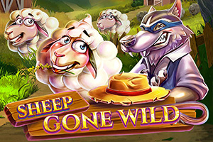 Sheep Gone Wild