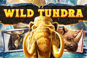 Wild Tundra