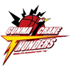 Gunma Crane Thunders