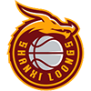 Shanxi Loongs