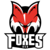 HC Bolzano-Bozen Foxes